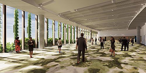 The Cairns Convention Centre exhibition hall featuring people networking in the space. There are floor to ceiling windows showing a blue sky and glimpses of the plants outside.